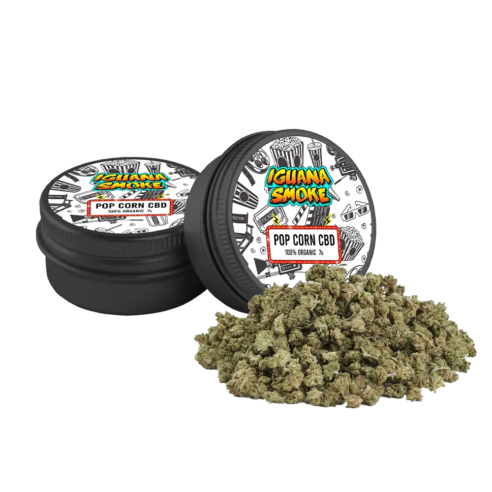 CBD 7GR - SOUR TSUNAMI