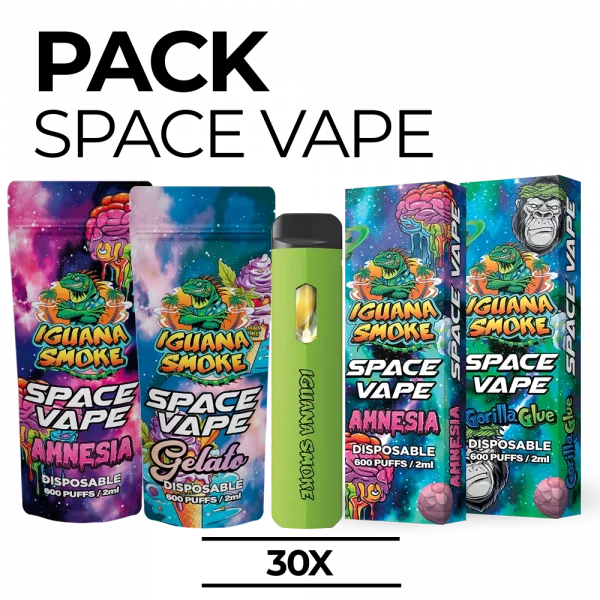 PACK 30 VAPES - 10OH, E8H o STV