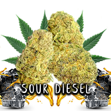 SOUR DIESEL - CBD FLOWERS 3GR