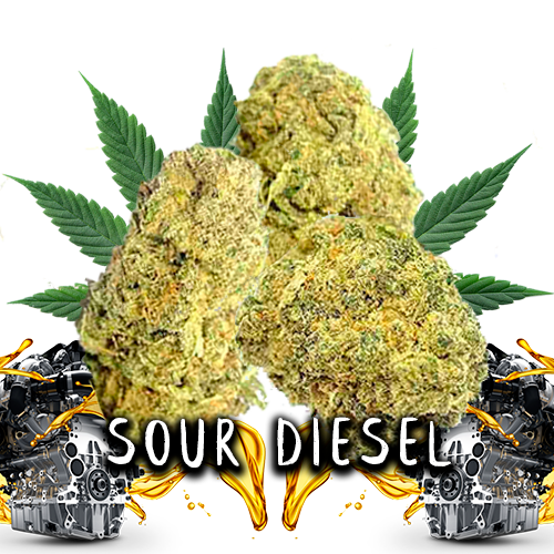 SOUR DIESEL - FLORES CBD 3GR