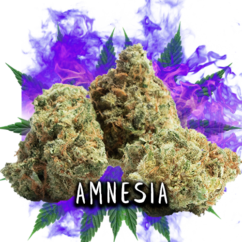 AMNESIA - CBD FLOWERS 3GR