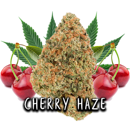 CHERRY HAZE - FLORES CBD 3GR